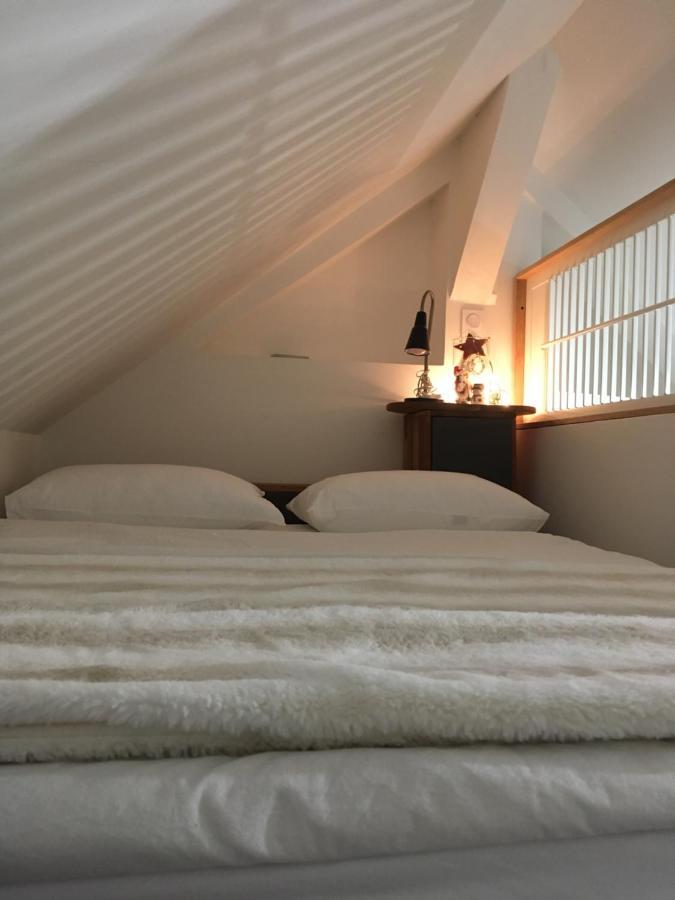Logement Climatise Erdre Riviere Ла-Шапель-сюр-Эрдр Экстерьер фото