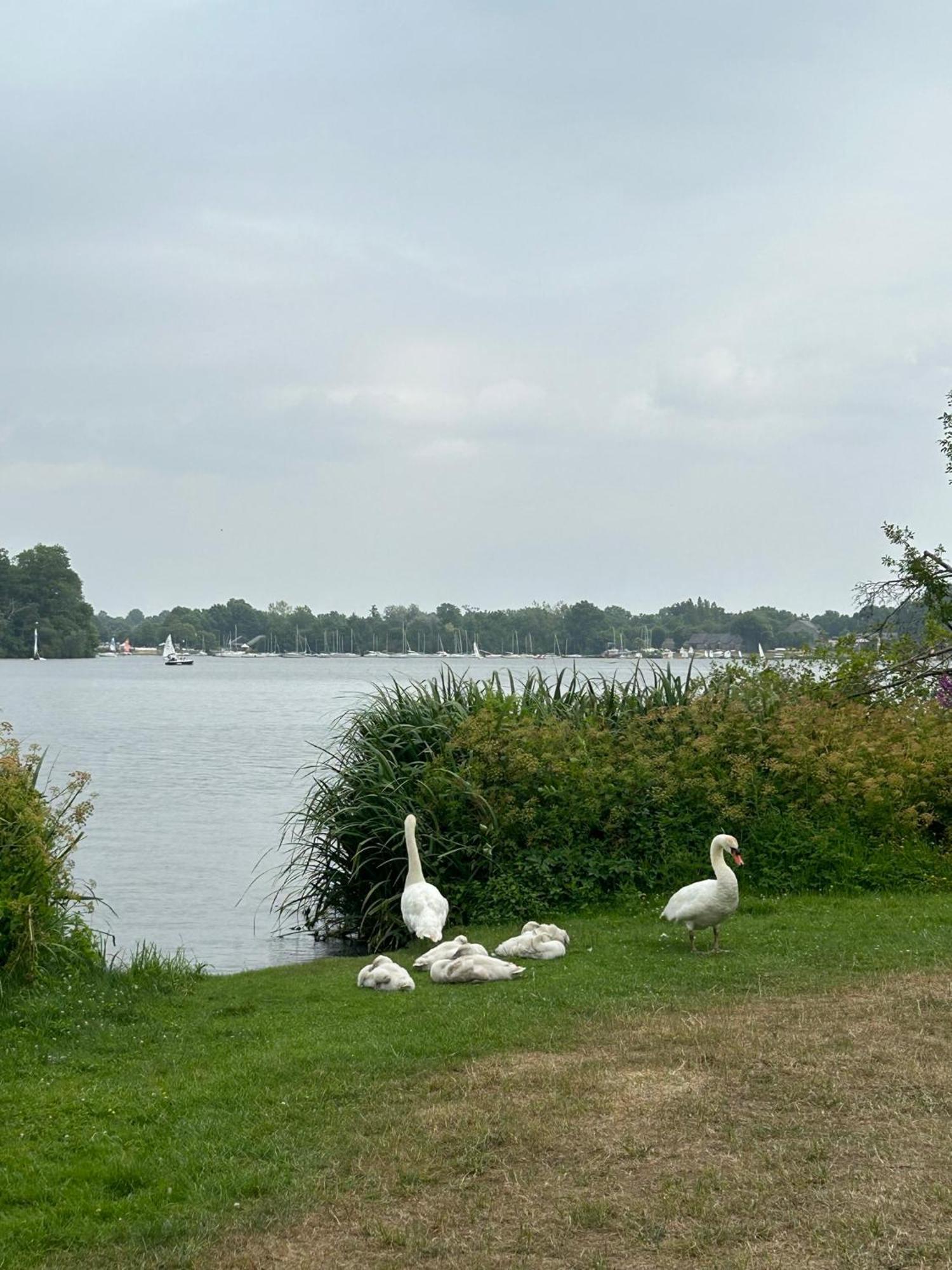 Logement Climatise Erdre Riviere Ла-Шапель-сюр-Эрдр Экстерьер фото